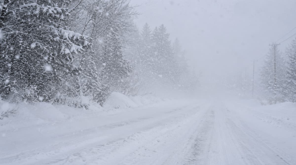 Blizzard Warning vs Winter Storm Warning: What's the Difference?