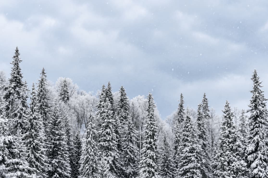 Avertissement météorologique hivernal : ce que cela signifie et comment cela diffère d'un avertissement