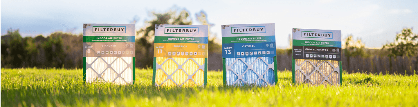 Image principale de notre marque