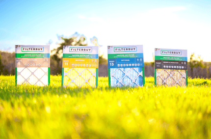 Image principale de notre marque