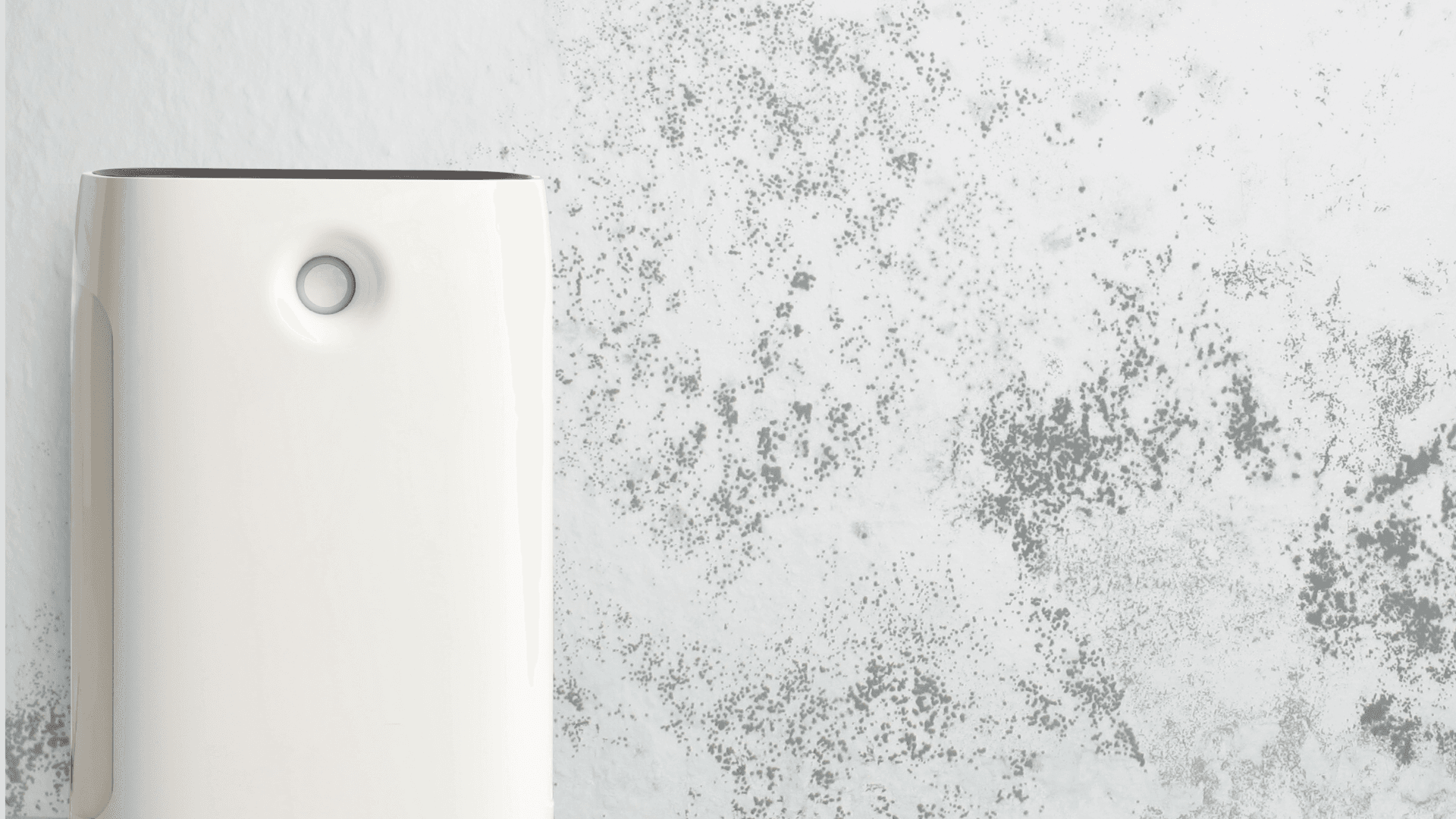 Best Air Purifier for Mold and Dust Allergies — Breathe Cleaner, Safer Air Today