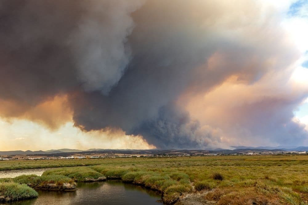 How Long Does Wildfire Smoke Stay in the Air?