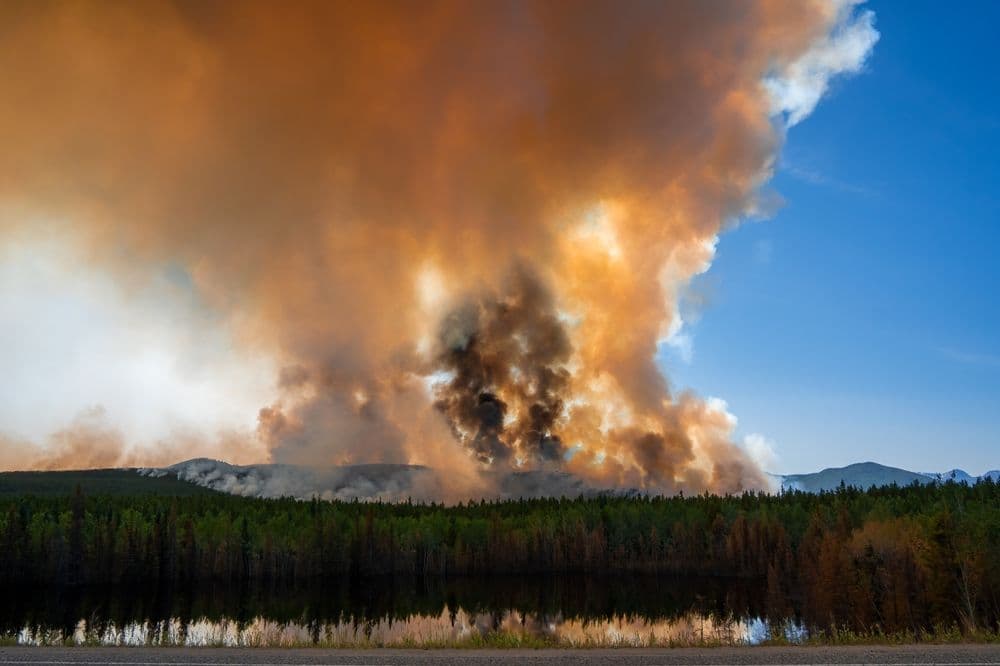 Wildfire Smoke: Long-Term Health Risks & How MERV 13 Filters Can Help