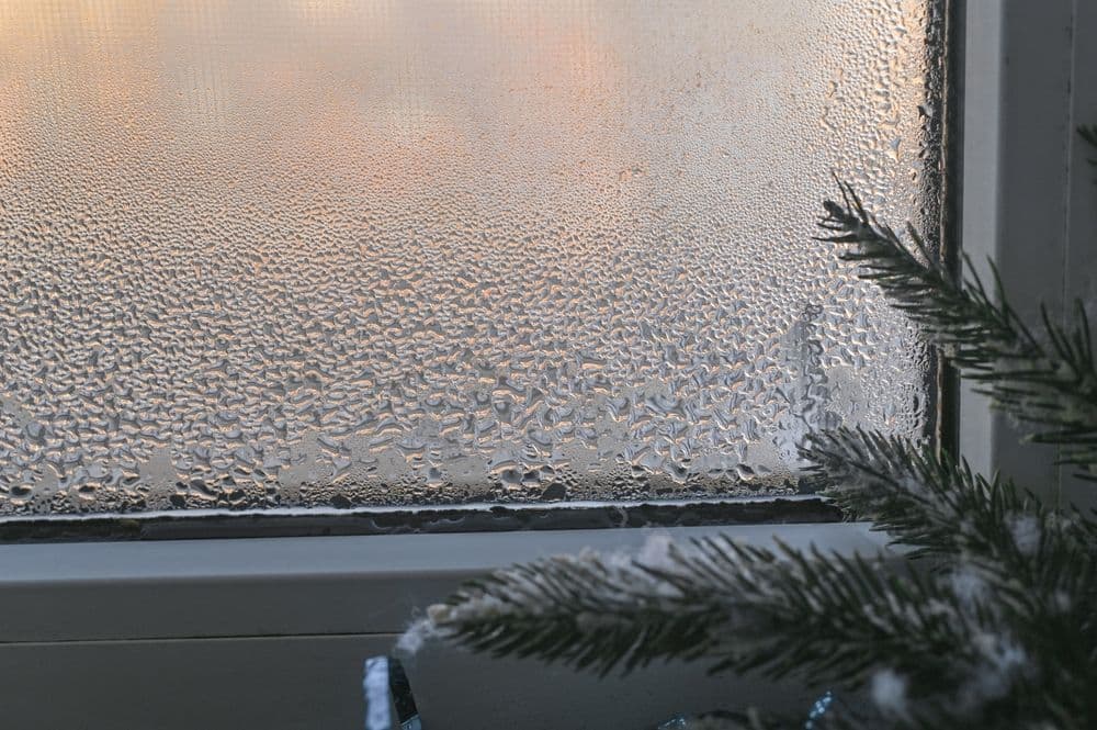 Don’t Let a Dirty Filter Cost You This Winter