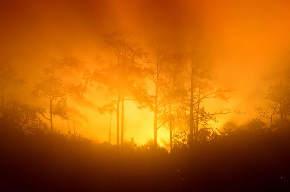 Do Air Conditioners Filter Wildfire Smoke?