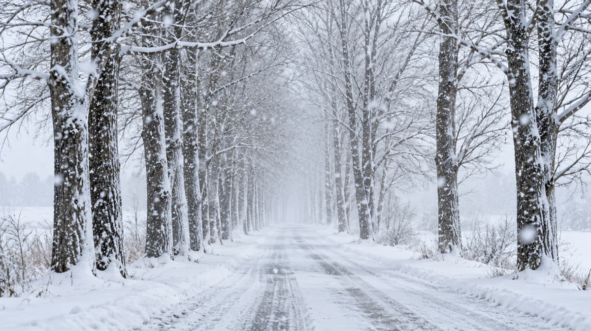 How Many Blizzards per Year by State? (Map, Rankings & City Odds)