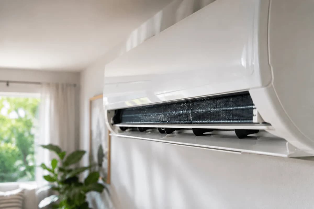 Mold in Your Mini Split: Warning Signs, Removal, and Prevention