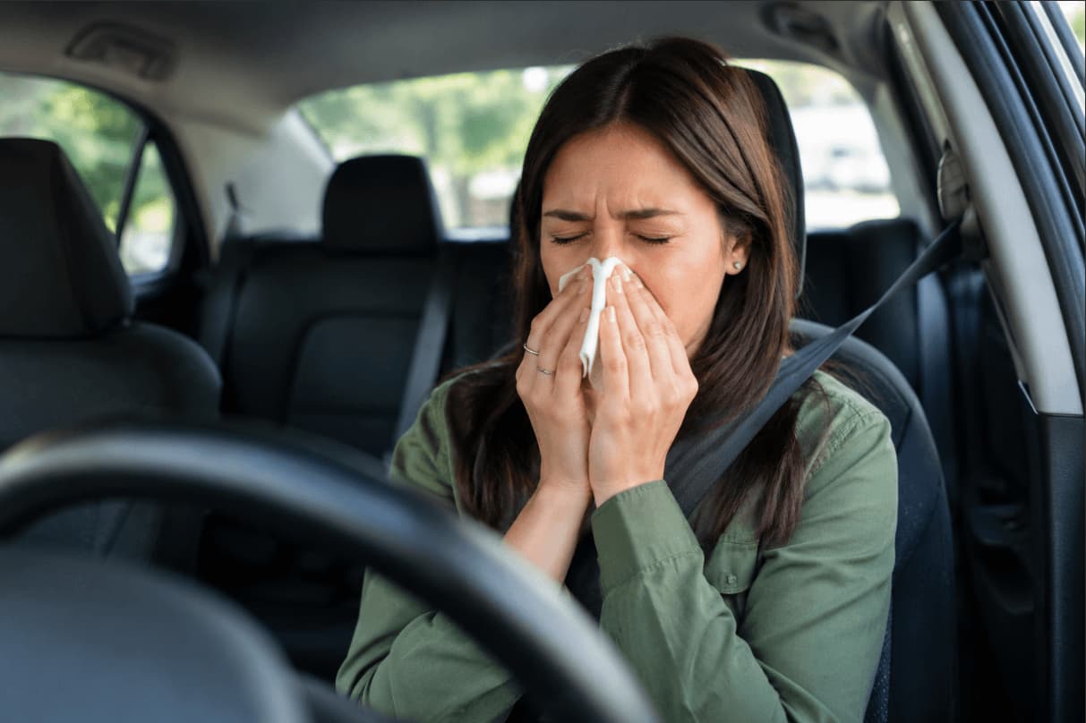 Meilleurs filtres à air d'habitacle pour soulagement des allergies | Filterbuy