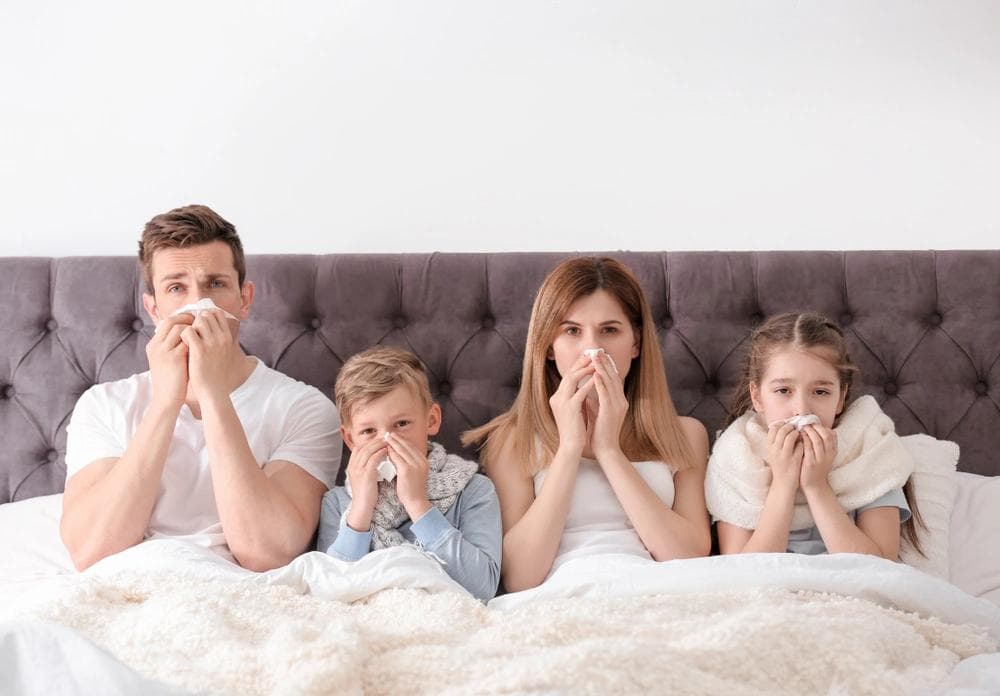 True HEPA vs MERV 13 Furnace Filters: Which Works Best for Allergies?