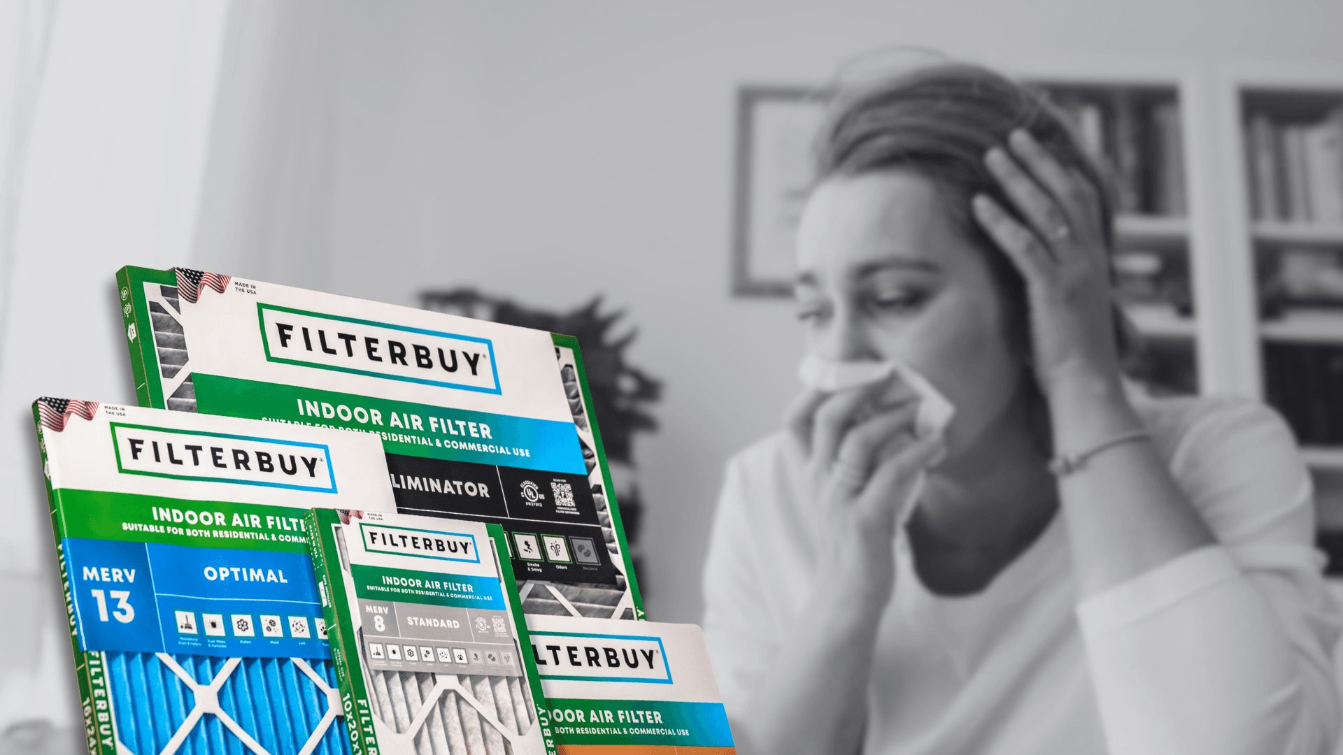 Quel est le meilleur filtre à air pour les allergies aux moisissures?
