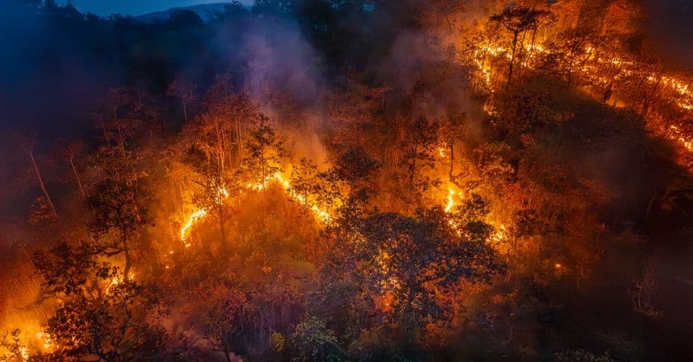 How to Protect Yourself from Wildfire Smoke's Long-Term Health Effects