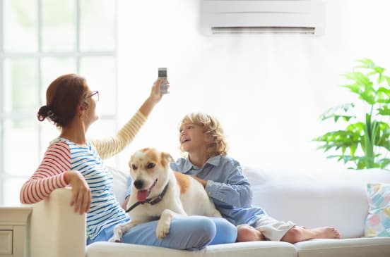 How to Choose the Best Home Air Filter for Your Loved Ones